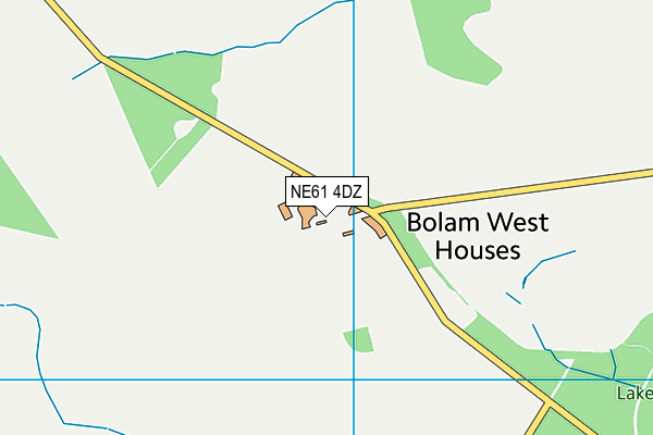 NE61 4DZ map - OS VectorMap District (Ordnance Survey)