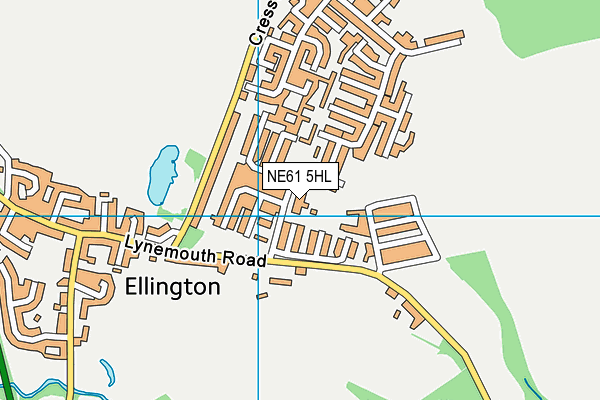 Ellington Primary School map (NE61 5HL) - OS VectorMap District (Ordnance Survey)