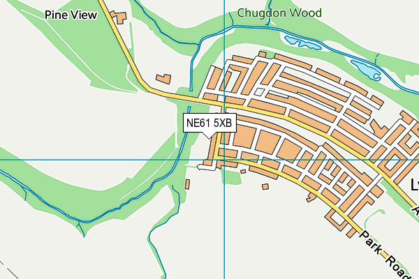 NE61 5XB map - OS VectorMap District (Ordnance Survey)