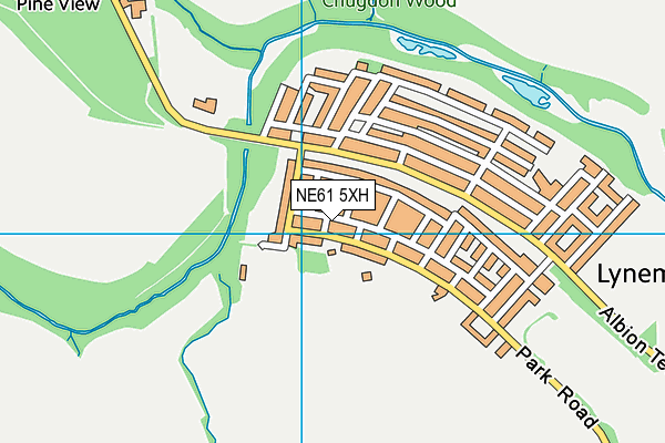 NE61 5XH map - OS VectorMap District (Ordnance Survey)