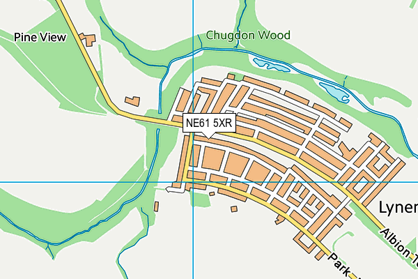 NE61 5XR map - OS VectorMap District (Ordnance Survey)