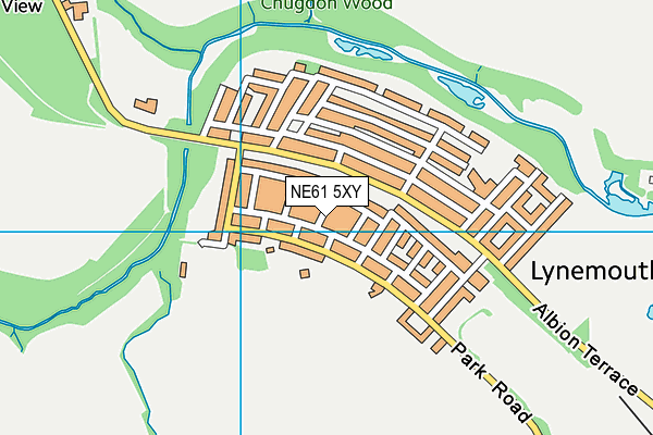 NE61 5XY map - OS VectorMap District (Ordnance Survey)