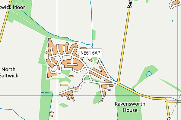 NE61 6AP map - OS VectorMap District (Ordnance Survey)