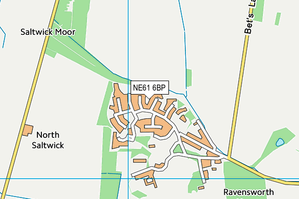 NE61 6BP map - OS VectorMap District (Ordnance Survey)