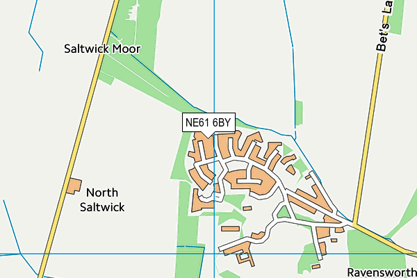 NE61 6BY map - OS VectorMap District (Ordnance Survey)