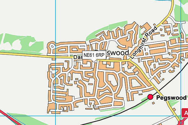 NE61 6RP map - OS VectorMap District (Ordnance Survey)