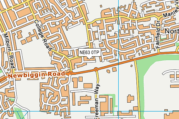NE63 0TP map - OS VectorMap District (Ordnance Survey)