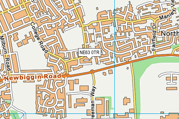 NE63 0TR map - OS VectorMap District (Ordnance Survey)