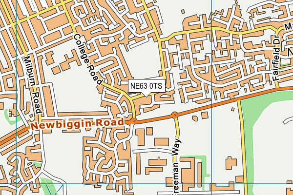 NE63 0TS map - OS VectorMap District (Ordnance Survey)