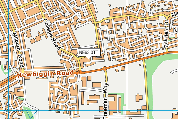 NE63 0TT map - OS VectorMap District (Ordnance Survey)