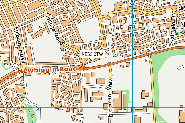 NE63 0TW map - OS VectorMap District (Ordnance Survey)