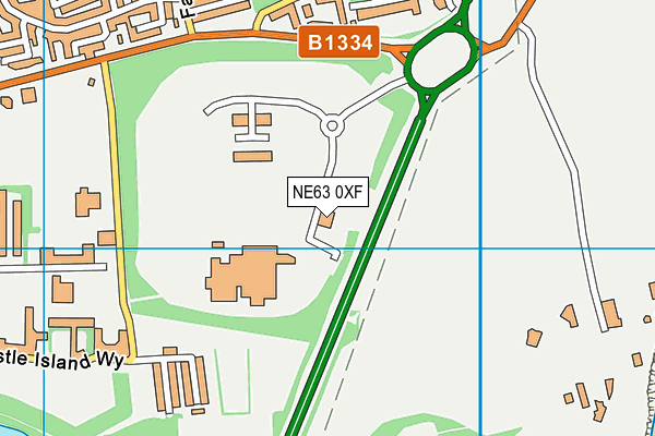 NE63 0XF map - OS VectorMap District (Ordnance Survey)