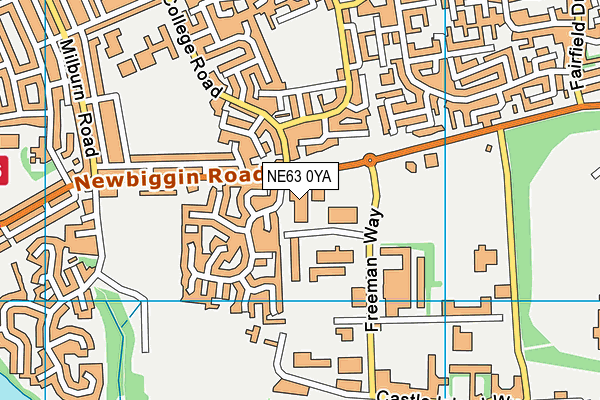 NE63 0YA map - OS VectorMap District (Ordnance Survey)