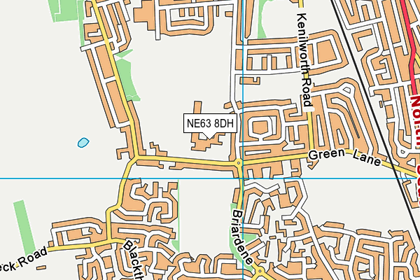 NE63 8DH map - OS VectorMap District (Ordnance Survey)