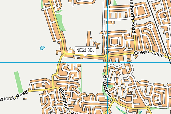 NE63 8DJ map - OS VectorMap District (Ordnance Survey)