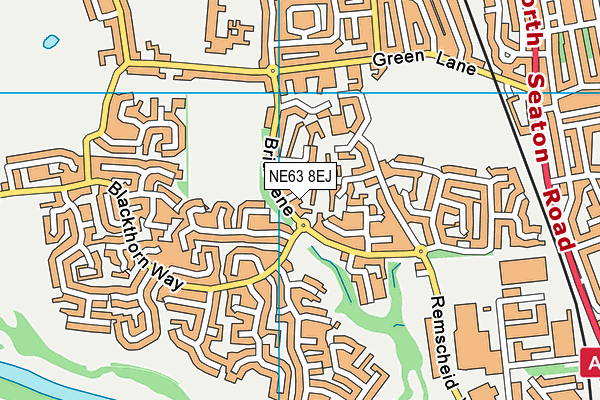 NE63 8EJ map - OS VectorMap District (Ordnance Survey)