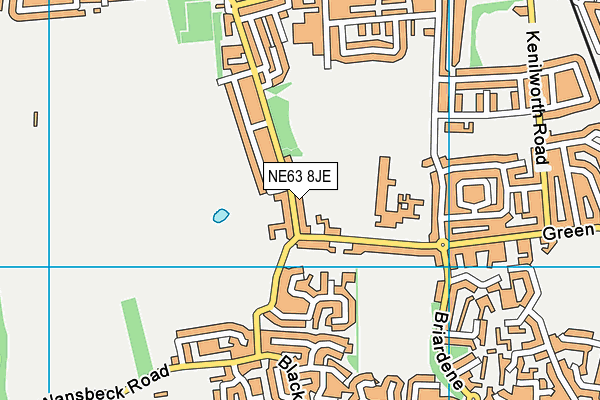 NE63 8JE map - OS VectorMap District (Ordnance Survey)