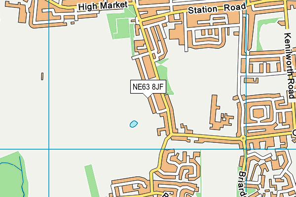 NE63 8JF map - OS VectorMap District (Ordnance Survey)