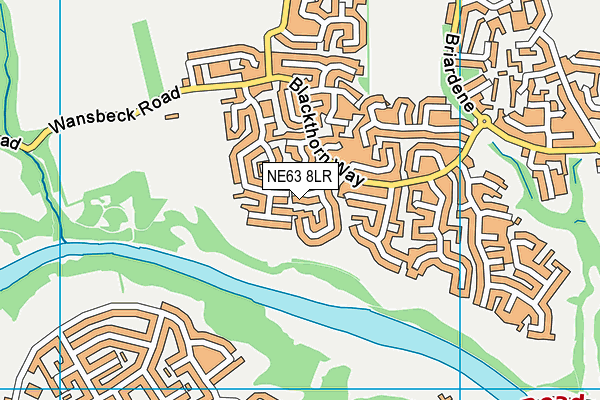 NE63 8LR map - OS VectorMap District (Ordnance Survey)