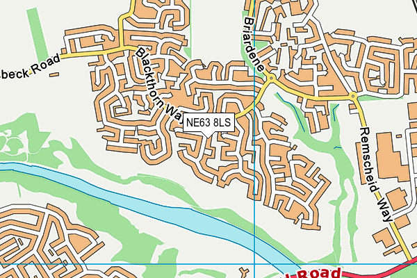 NE63 8LS map - OS VectorMap District (Ordnance Survey)
