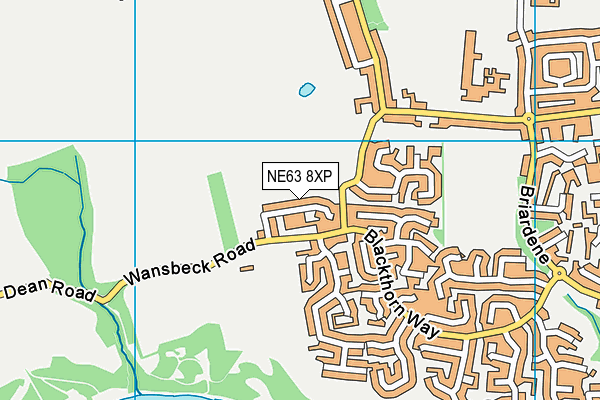 NE63 8XP map - OS VectorMap District (Ordnance Survey)