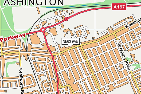 Map of THE PREMIER CLUB (ASHINGTON) LIMITED at district scale