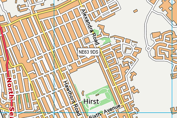 NE63 9DS map - OS VectorMap District (Ordnance Survey)