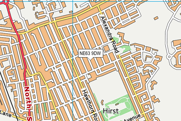 NE63 9DW map - OS VectorMap District (Ordnance Survey)