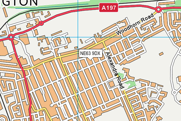 NE63 9DX map - OS VectorMap District (Ordnance Survey)