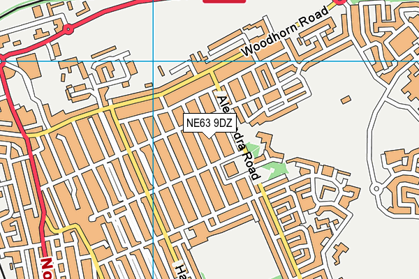 NE63 9DZ map - OS VectorMap District (Ordnance Survey)
