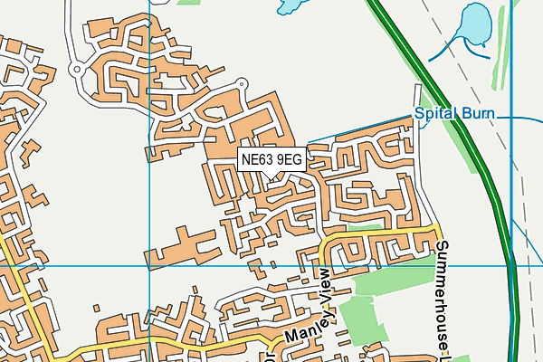 NE63 9EG map - OS VectorMap District (Ordnance Survey)