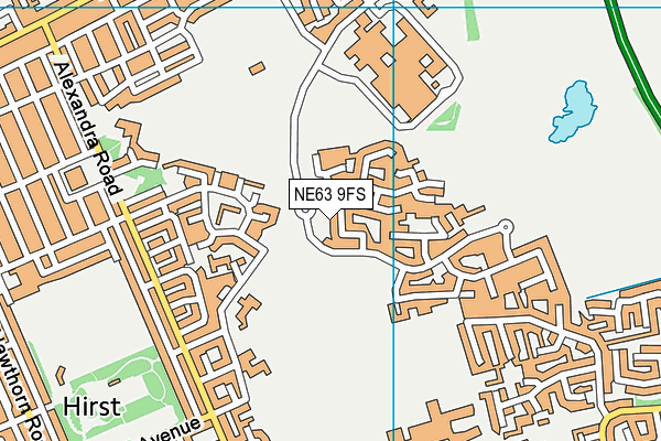 NE63 9FS map - OS VectorMap District (Ordnance Survey)