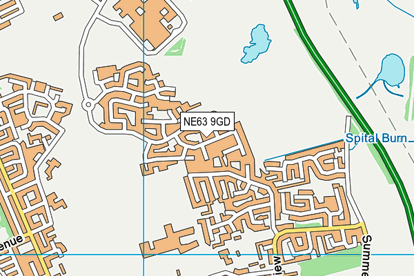 NE63 9GD map - OS VectorMap District (Ordnance Survey)