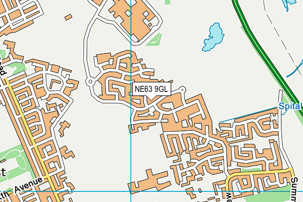 NE63 9GL map - OS VectorMap District (Ordnance Survey)