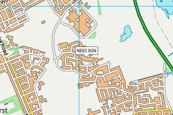 NE63 9GN map - OS VectorMap District (Ordnance Survey)