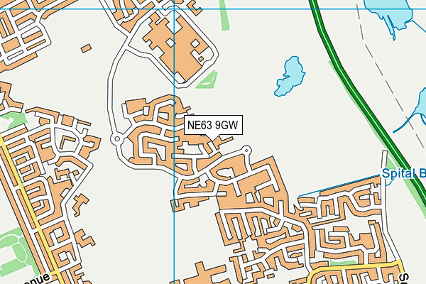 NE63 9GW map - OS VectorMap District (Ordnance Survey)