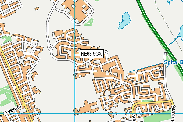 NE63 9GX map - OS VectorMap District (Ordnance Survey)