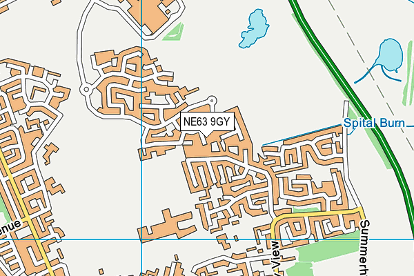 NE63 9GY map - OS VectorMap District (Ordnance Survey)