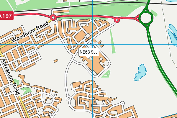 NE63 9JJ map - OS VectorMap District (Ordnance Survey)