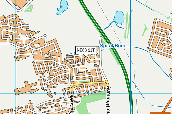 NE63 9JT map - OS VectorMap District (Ordnance Survey)