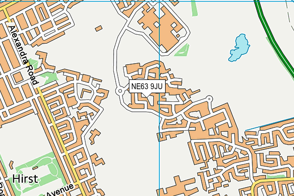 NE63 9JU map - OS VectorMap District (Ordnance Survey)