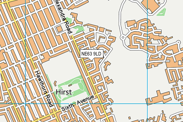 NE63 9LD map - OS VectorMap District (Ordnance Survey)