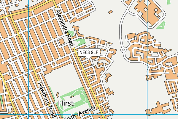 NE63 9LF map - OS VectorMap District (Ordnance Survey)