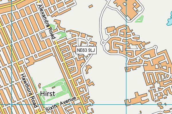 NE63 9LJ map - OS VectorMap District (Ordnance Survey)