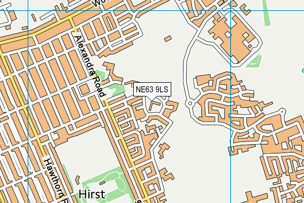 NE63 9LS map - OS VectorMap District (Ordnance Survey)