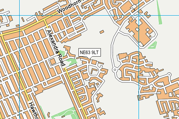 NE63 9LT map - OS VectorMap District (Ordnance Survey)