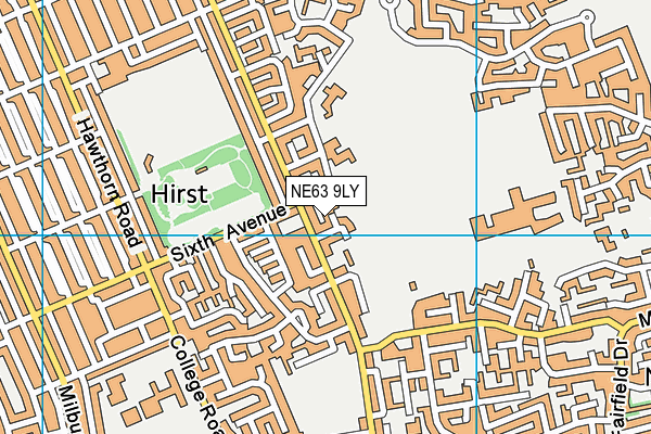 NE63 9LY map - OS VectorMap District (Ordnance Survey)