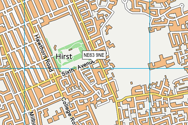 NE63 9NE map - OS VectorMap District (Ordnance Survey)