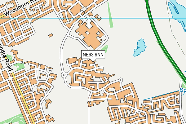 NE63 9NN map - OS VectorMap District (Ordnance Survey)