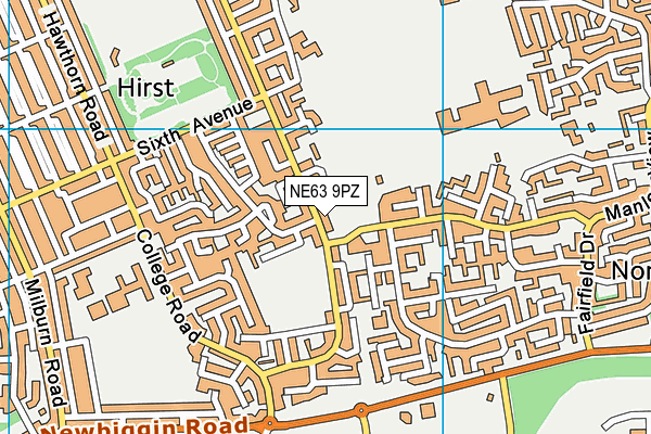 NE63 9PZ map - OS VectorMap District (Ordnance Survey)
